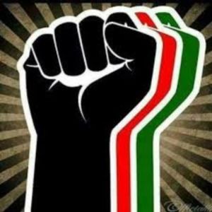 Meet your Posher, Elijah